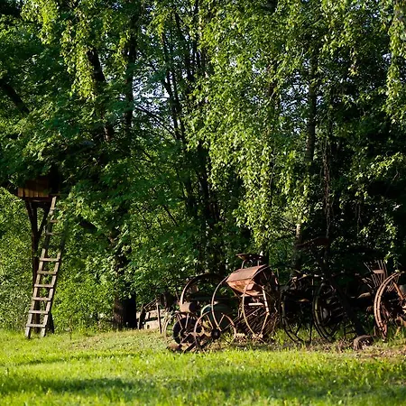 Séjour à la ferme Siedlisko Grabinowo K/olsztyna *
