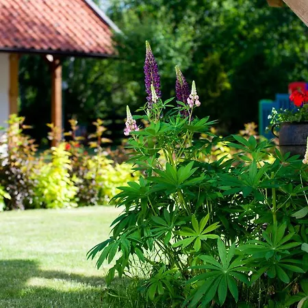 Farm stay Siedlisko Grabinowo Olsztyn (Warmian-Masurian)
