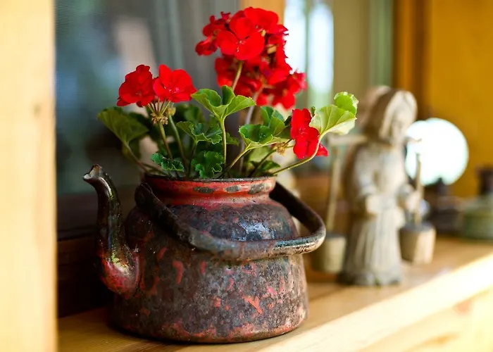 农家乐 Siedlisko Grabinowo K/olsztyna