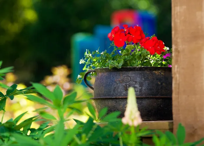 Siedlisko Grabinowo K/olsztyna 奥尔什丁